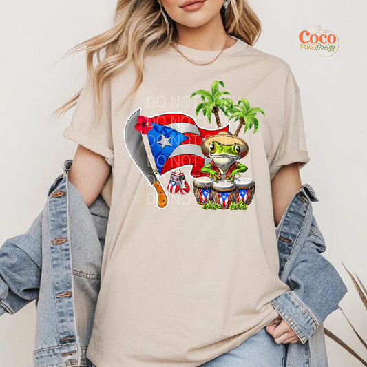 PR Borinquen